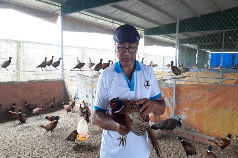 Trang trại chứa hàng trăm con chim quý của chàng trai Quảng Ngãi Trang trại chứa hàng trăm con chim quý của chàng trai Quảng Ngãi