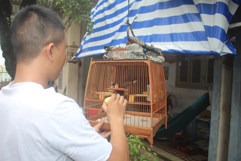 cám lửa giá tốt Tháng 9, 2023 | Mua ngay Chăm Sóc Thú Cưng | Shopee Việt Nam cám lửa giá tốt Tháng 9, 2023 | Mua ngay Chăm Sóc Thú Cưng | Shopee Việt Nam