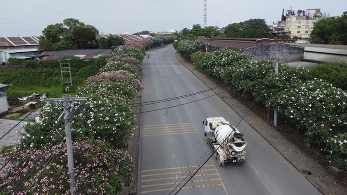 hinh 100325.5.jpg